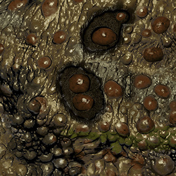 Toadaflage Camo Patterns