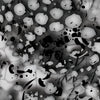 Pistol Slide Pulse Blizzard Camo Gun Skin Vinyl Wrap