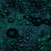 Pistol Slide Toadaflage Swamp Monster Camo Gun Skin Vinyl Wrap
